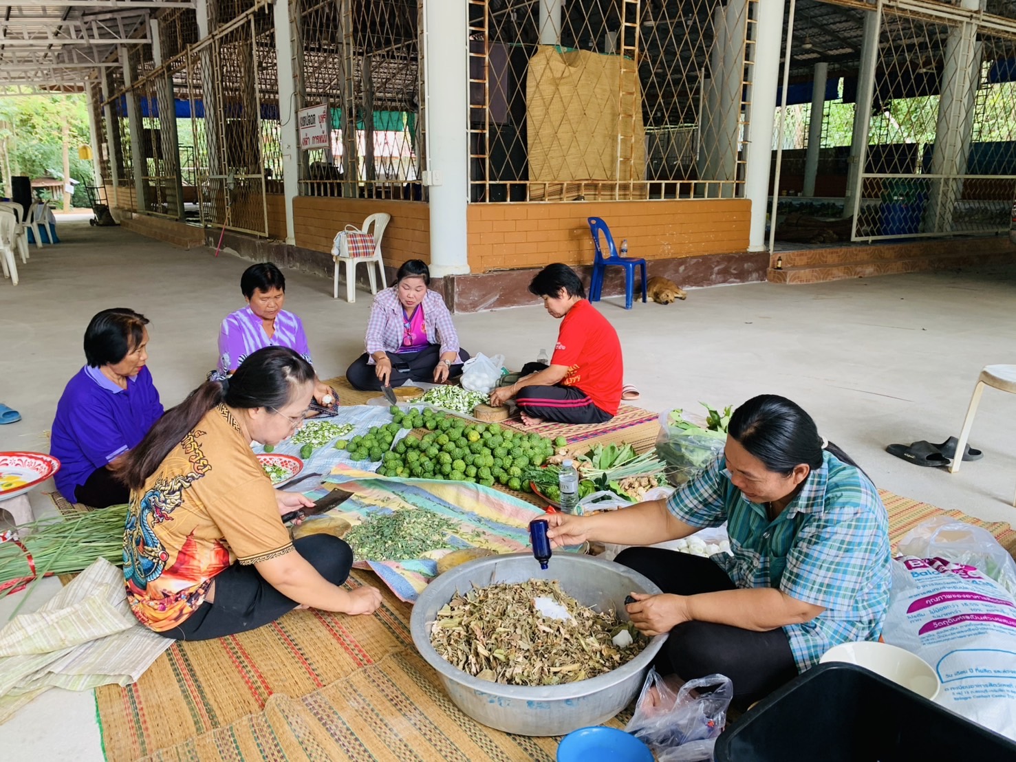 🐘พช.ฉะเชิงเทรา  สนับสนุนการดำเนินโครงการส่งเสริมกลุ่มอาชีพหมู่บ้านคนรักษ์ช้างจังหวัดฉะเชิงเทรา ณ อำเภอสนามชัยเขต