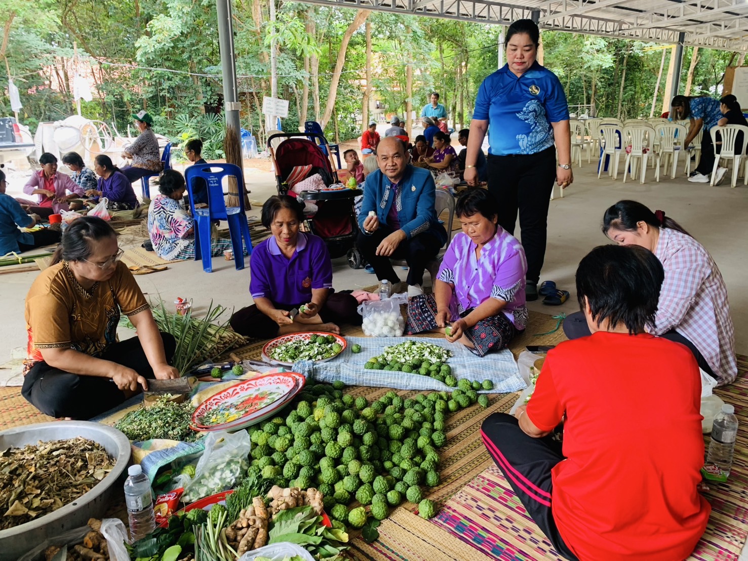 🐘พช.ฉะเชิงเทรา  สนับสนุนการดำเนินโครงการส่งเสริมกลุ่มอาชีพหมู่บ้านคนรักษ์ช้างจังหวัดฉะเชิงเทรา ณ อำเภอสนามชัยเขต