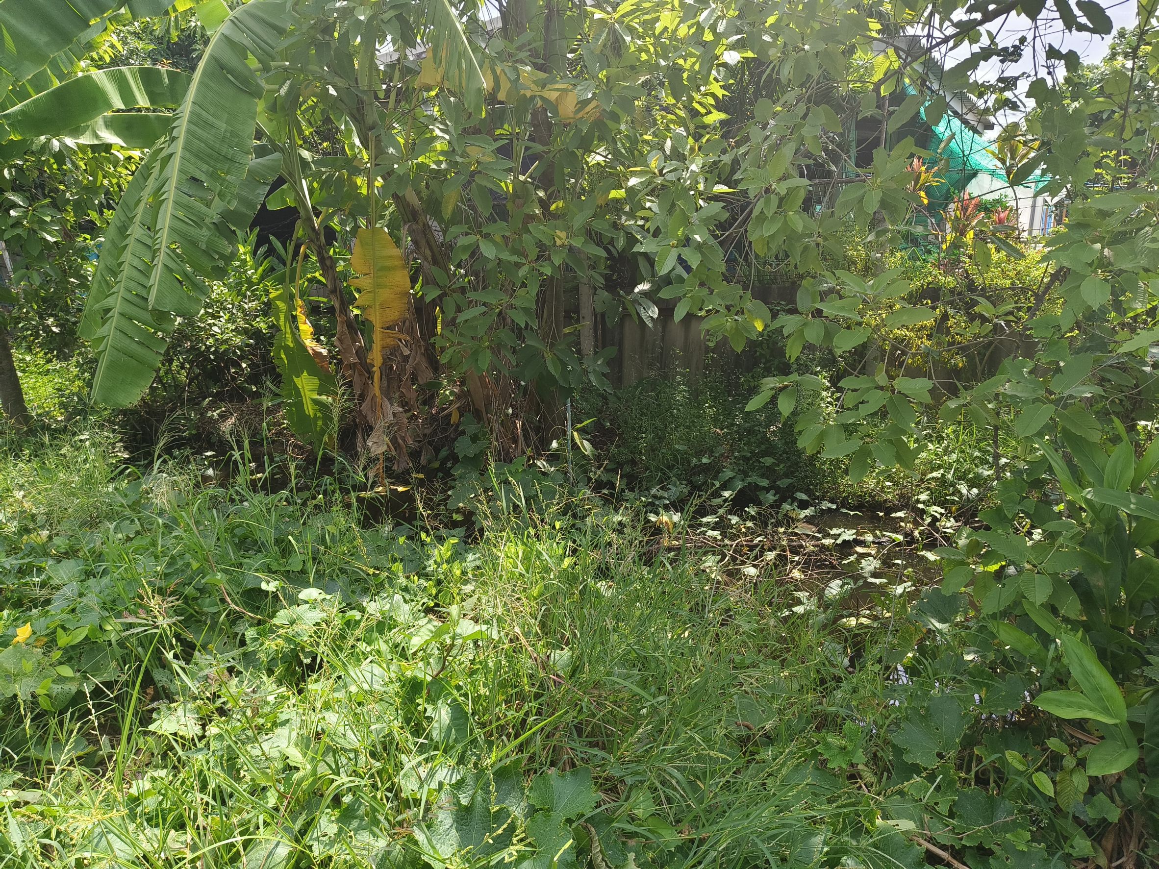 หนุนเยาวชนกลุ่มเสี่ยง! พช.ฉะเชิงเทราลงพื้นที่เยี่ยม “น้องแน็ค” วางแผนเลี้ยงกบ-ปลาดุก เสริมอาชีพยั่งยืน