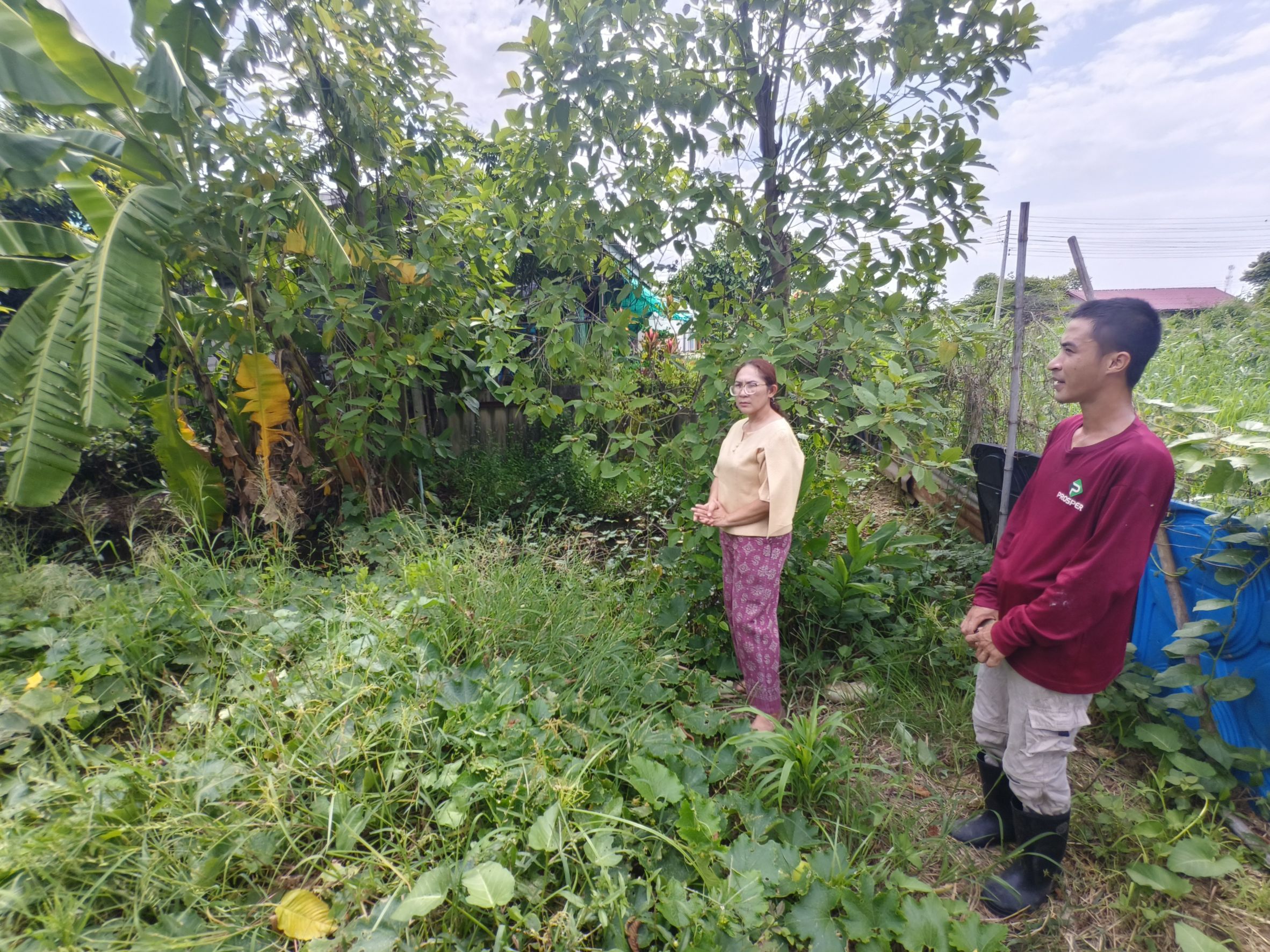 หนุนเยาวชนกลุ่มเสี่ยง! พช.ฉะเชิงเทราลงพื้นที่เยี่ยม “น้องแน็ค” วางแผนเลี้ยงกบ-ปลาดุก เสริมอาชีพยั่งยืน