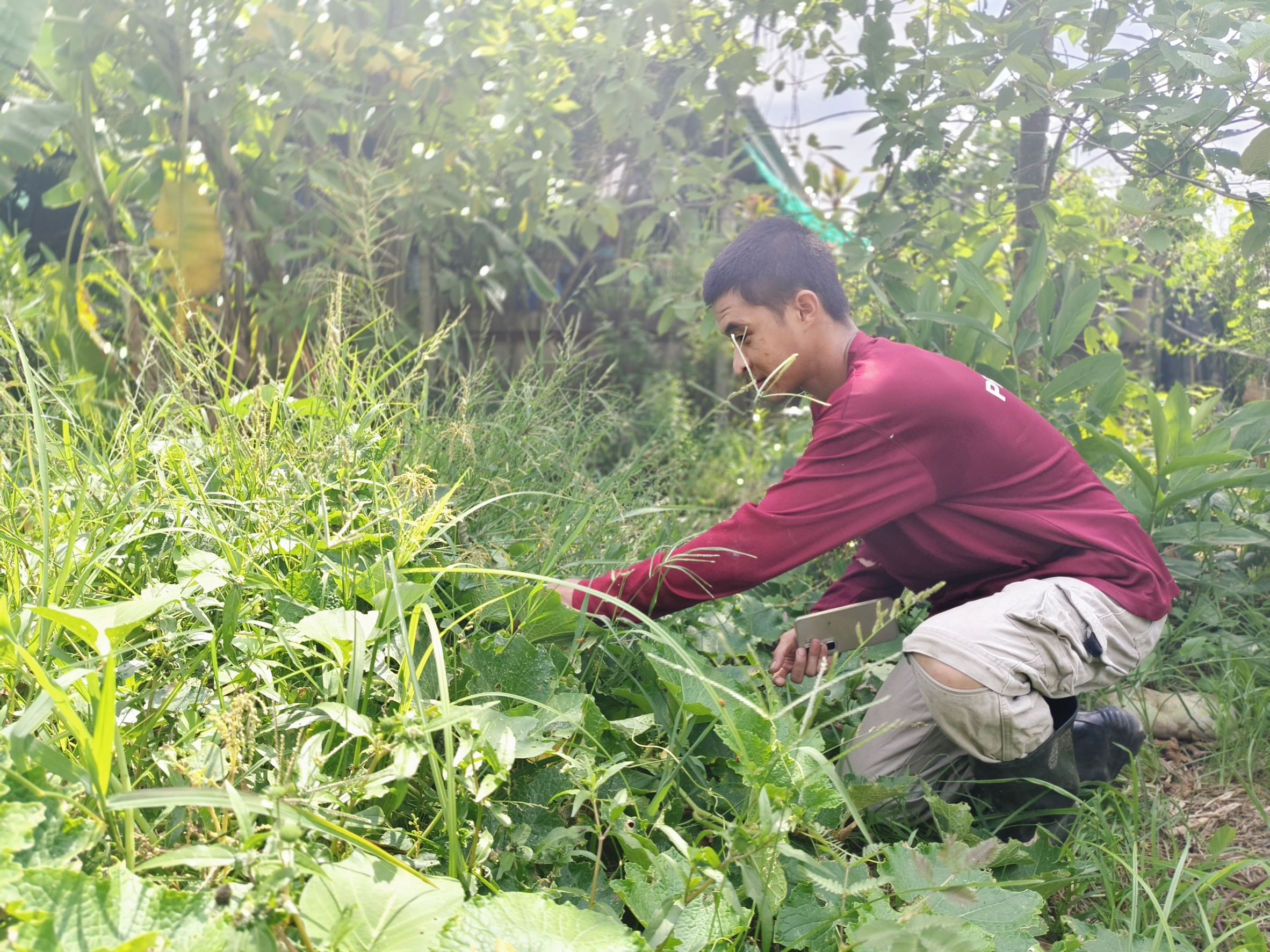 หนุนเยาวชนกลุ่มเสี่ยง! พช.ฉะเชิงเทราลงพื้นที่เยี่ยม “น้องแน็ค” วางแผนเลี้ยงกบ-ปลาดุก เสริมอาชีพยั่งยืน