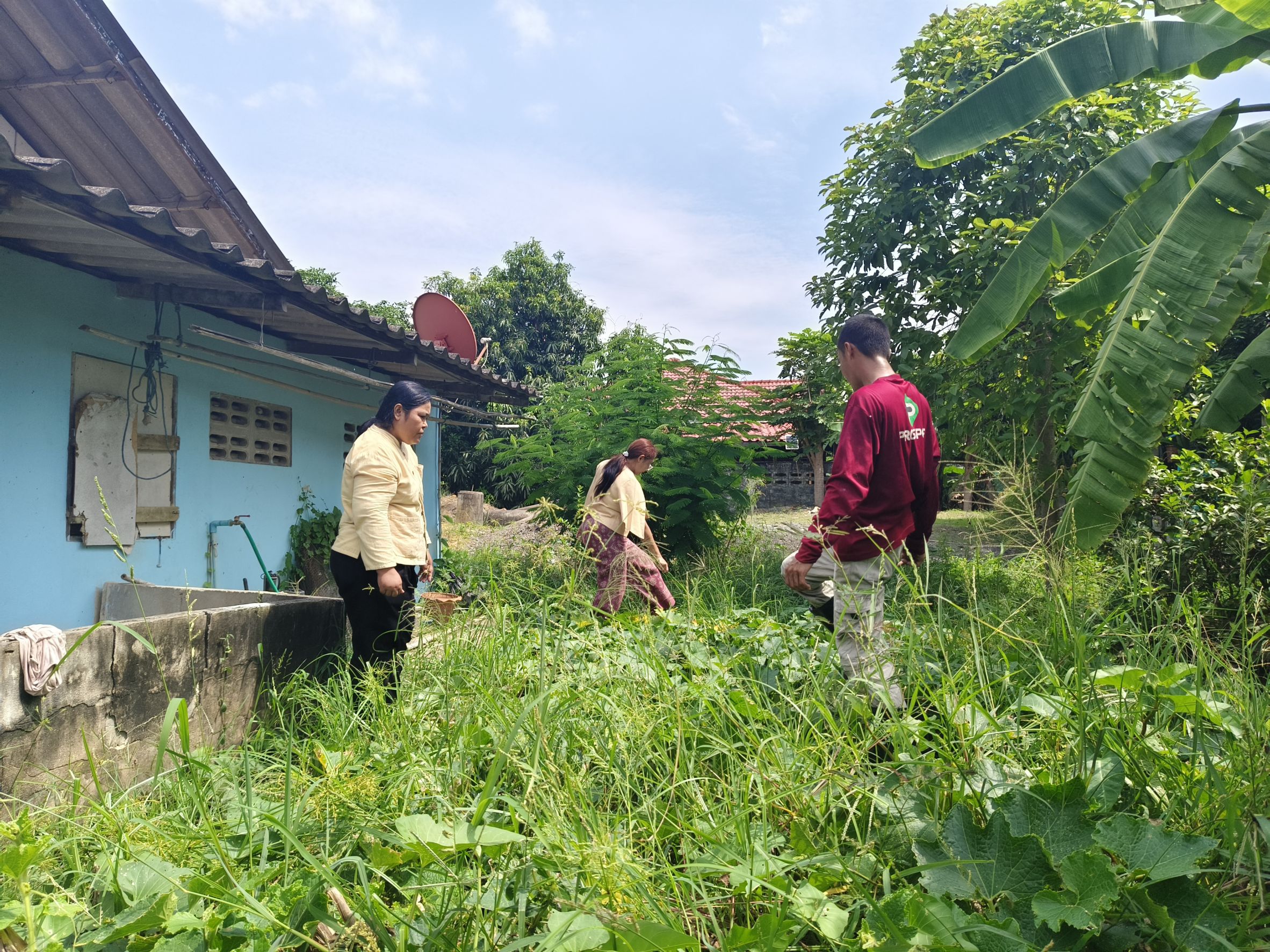 หนุนเยาวชนกลุ่มเสี่ยง! พช.ฉะเชิงเทราลงพื้นที่เยี่ยม “น้องแน็ค” วางแผนเลี้ยงกบ-ปลาดุก เสริมอาชีพยั่งยืน