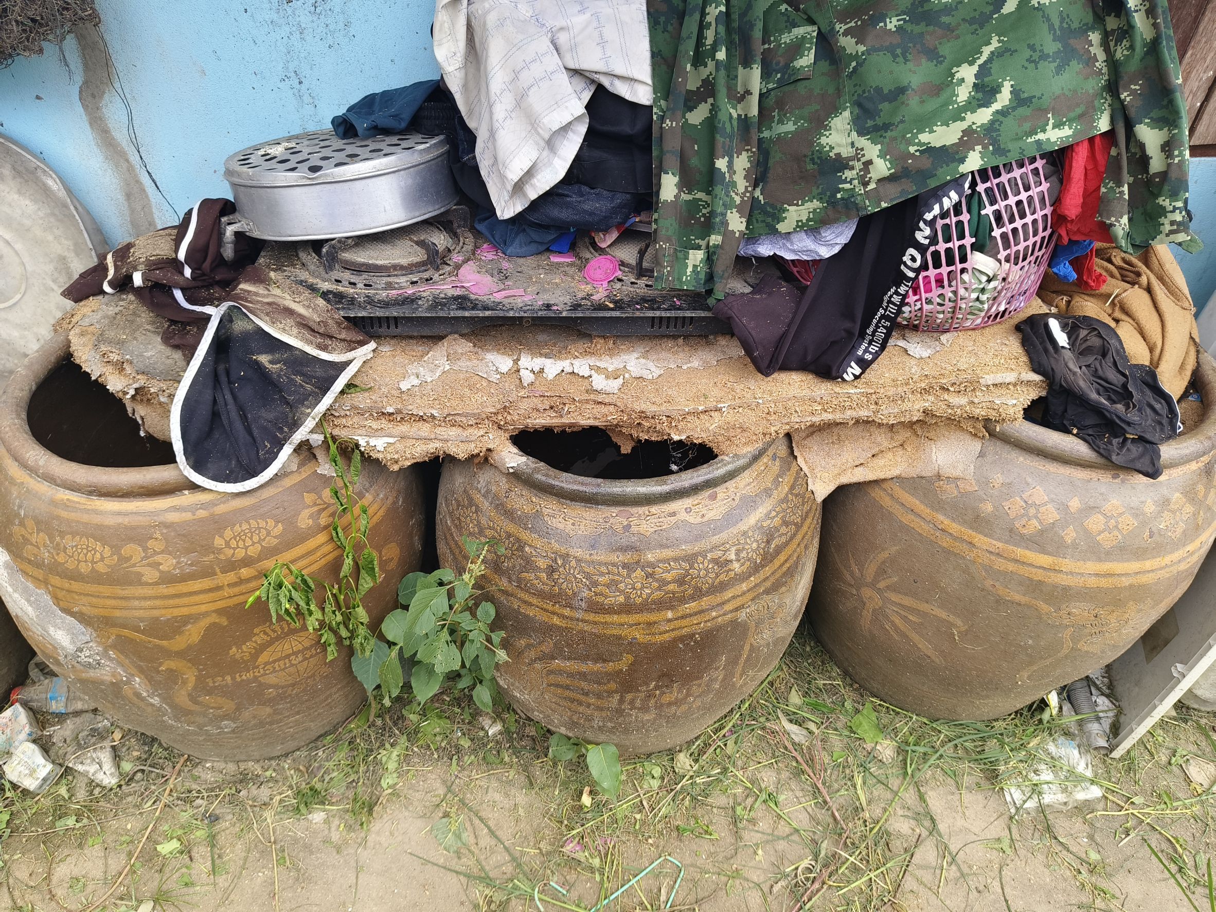 หนุนเยาวชนกลุ่มเสี่ยง! พช.ฉะเชิงเทราลงพื้นที่เยี่ยม “น้องแน็ค” วางแผนเลี้ยงกบ-ปลาดุก เสริมอาชีพยั่งยืน