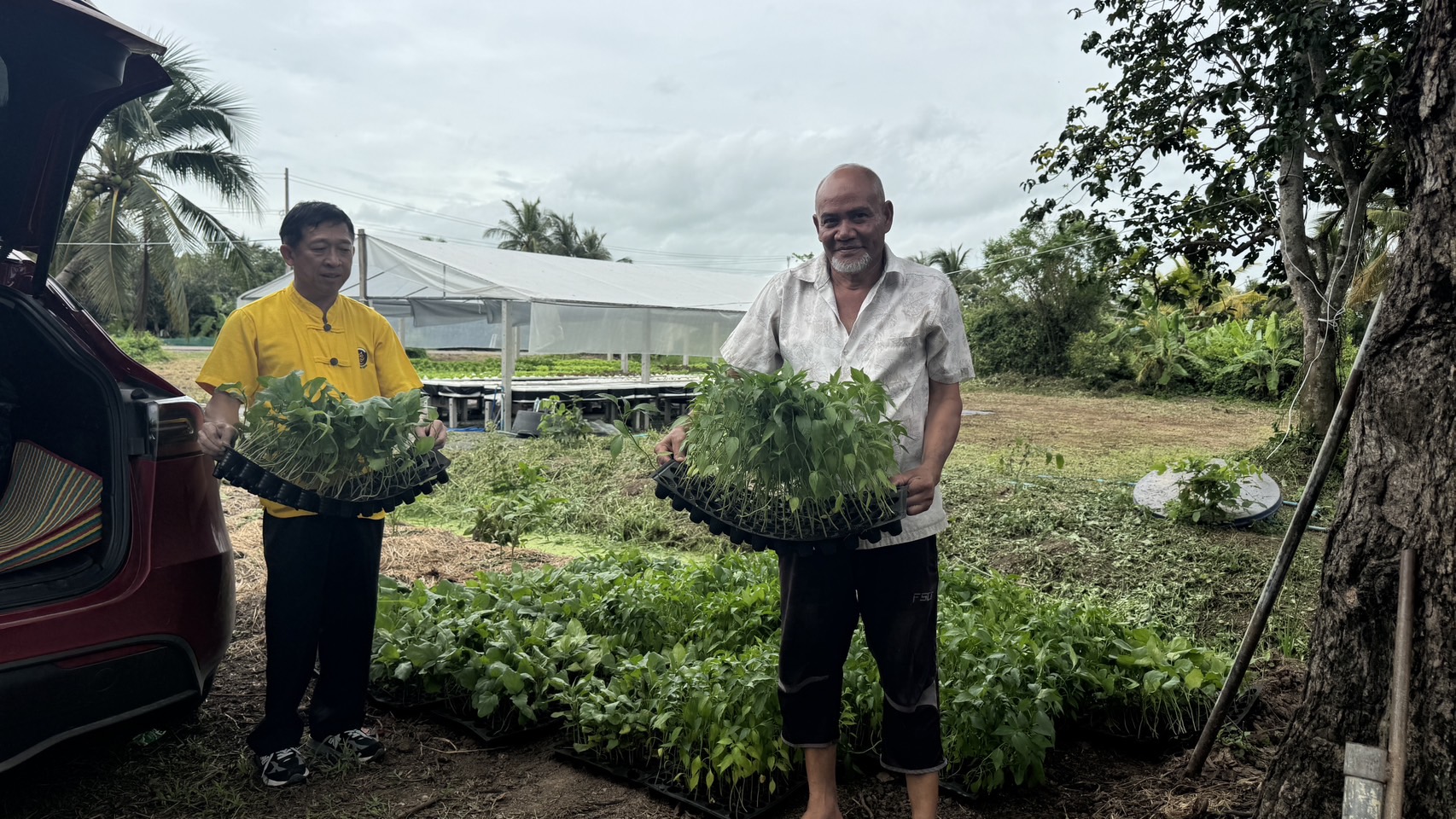 พช.ฉะเชิงเทรา รับมอบต้นกล้า 2,000 ต้น เตรียมพร้อมกิจกรรมเฉลิมพระเกียรติฯ ที่ “โคก หนอง นา” บางน้ำเปรี้ยว