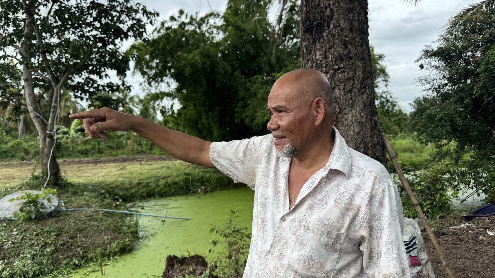 พช.ฉะเชิงเทรา รับมอบต้นกล้า 2,000 ต้น เตรียมพร้อมกิจกรรมเฉลิมพระเกียรติฯ ที่ “โคก หนอง นา” บางน้ำเปรี้ยว
