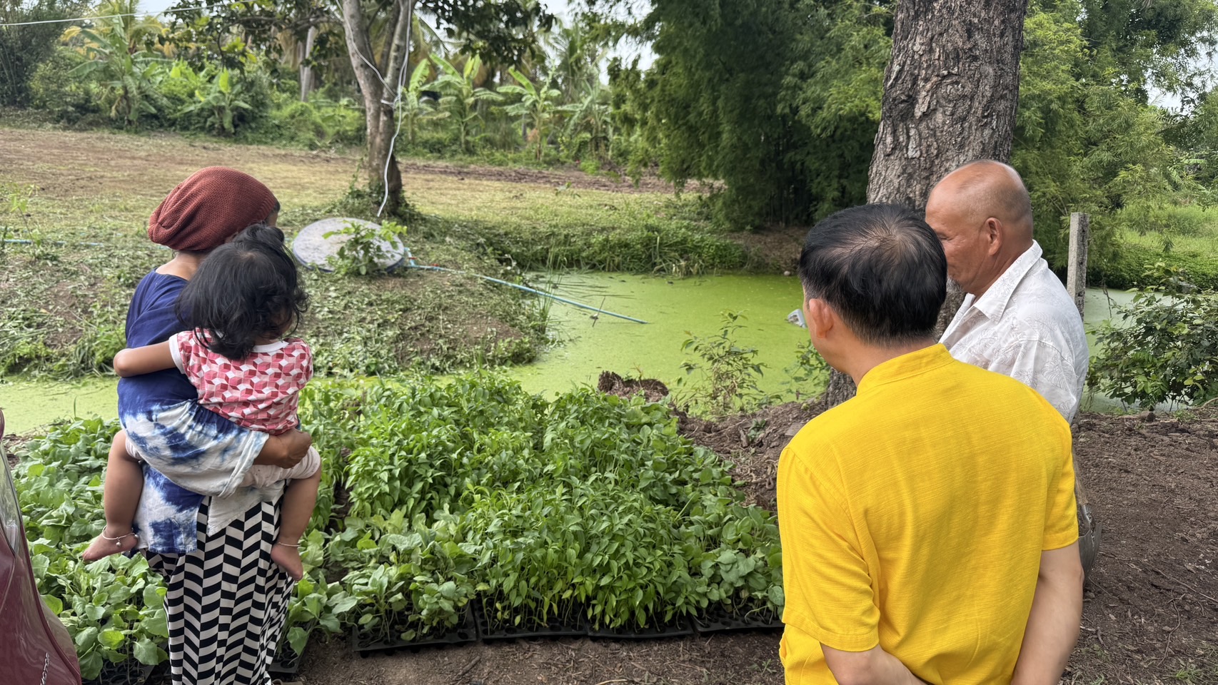 พช.ฉะเชิงเทรา รับมอบต้นกล้า 2,000 ต้น เตรียมพร้อมกิจกรรมเฉลิมพระเกียรติฯ ที่ “โคก หนอง นา” บางน้ำเปรี้ยว
