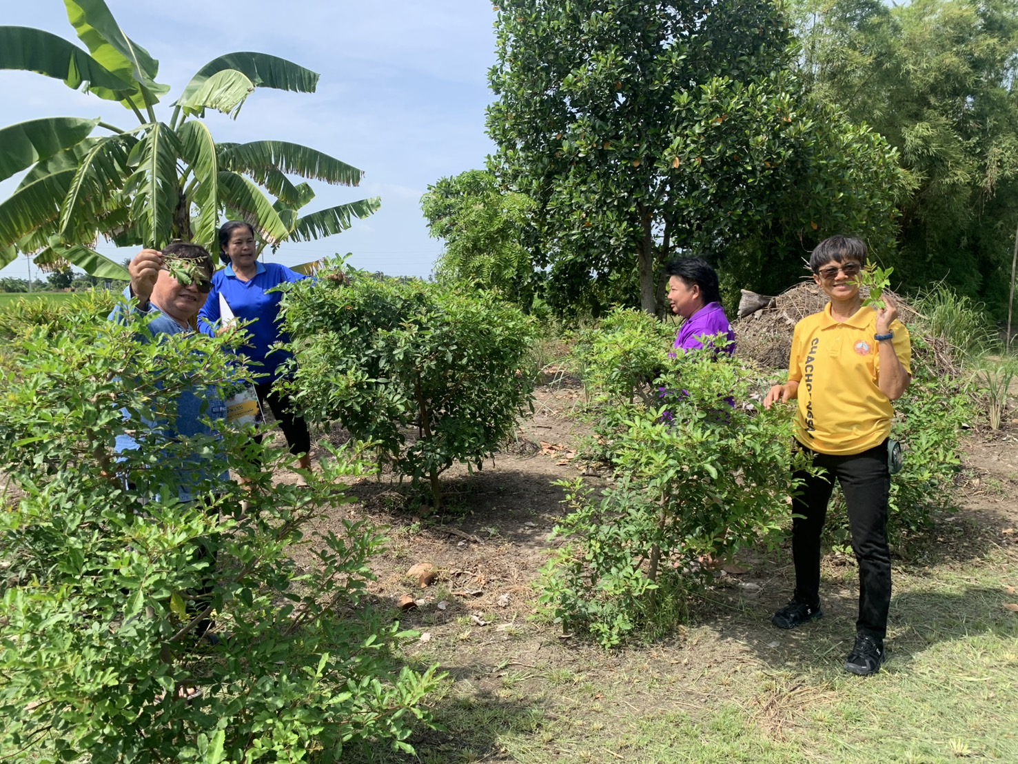 🪴📝พช.ฉะเชิงเทรา ติดตามผลการดำเนินโครงการขยายผลการจัดทำแปลงอนุรักษ์พันธุกรรมพืช