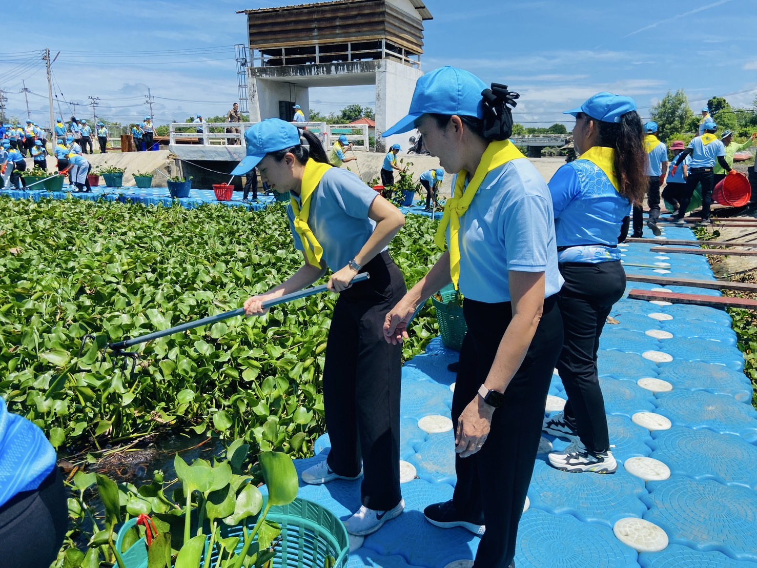 พช.ฉะเชิงเทรา ร่วมกิจกรรมจิตอาสา “เราทำความดี ด้วยหัวใจ” เนื่องในโอกาสมหามงคลเฉลิมพระชนมพรรษา 93 พรรษา สมเด็จพระนางเจ้าสิริกิติ์ พระบรมราชินีนาถ พระบรมราชชนนีพันปีหลวง 12 สิงหาคม 2568